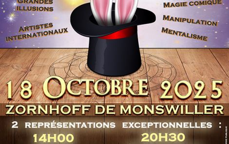 Spectacle de magie