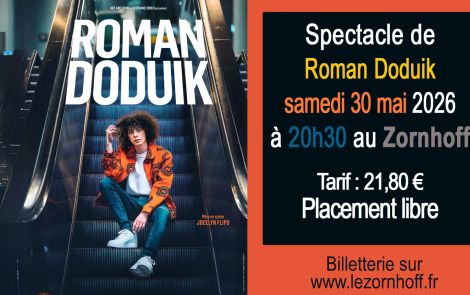Spectacle de Romain Doduik